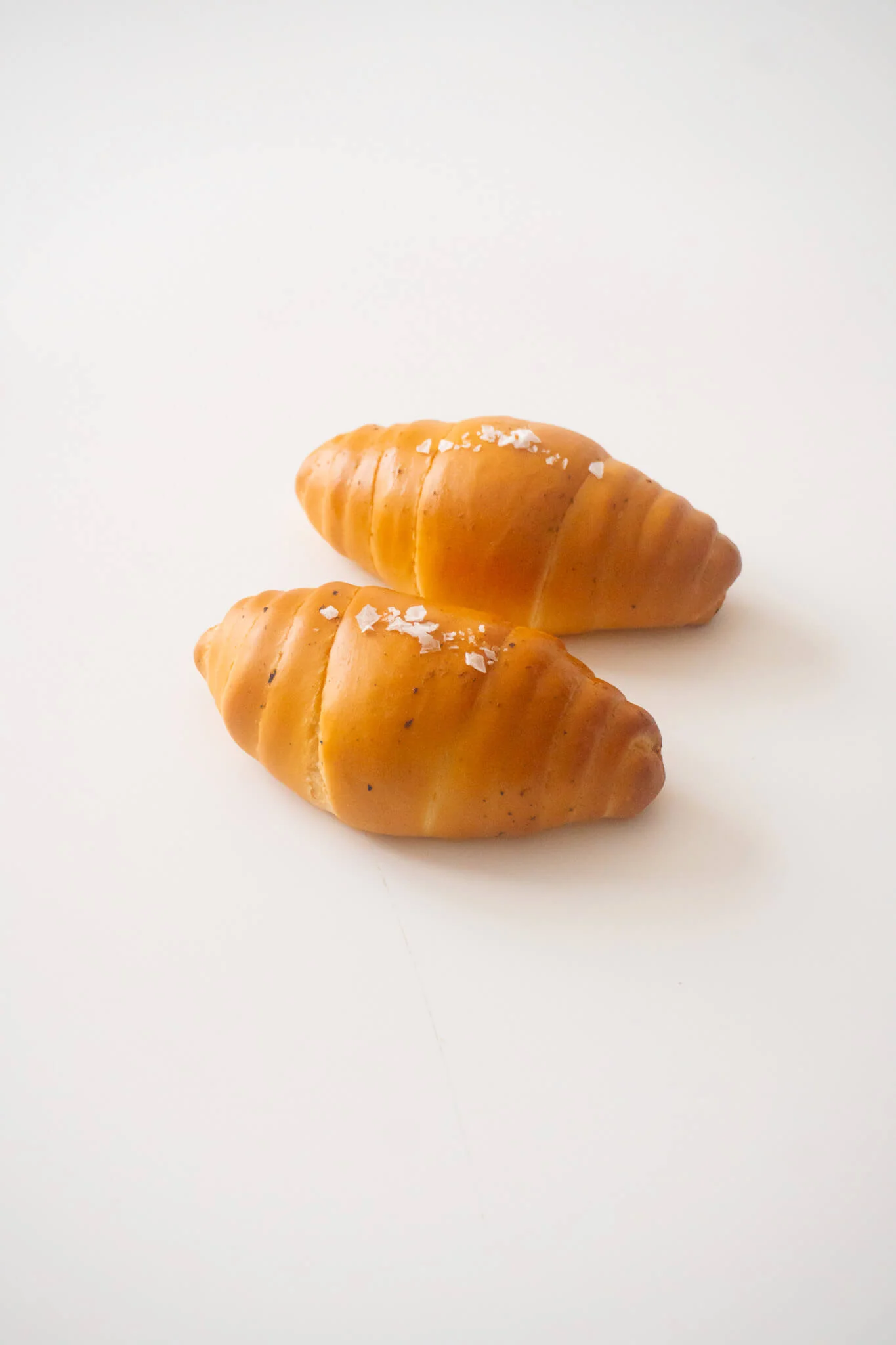 เมนู: Truffle Cheese Shiopan